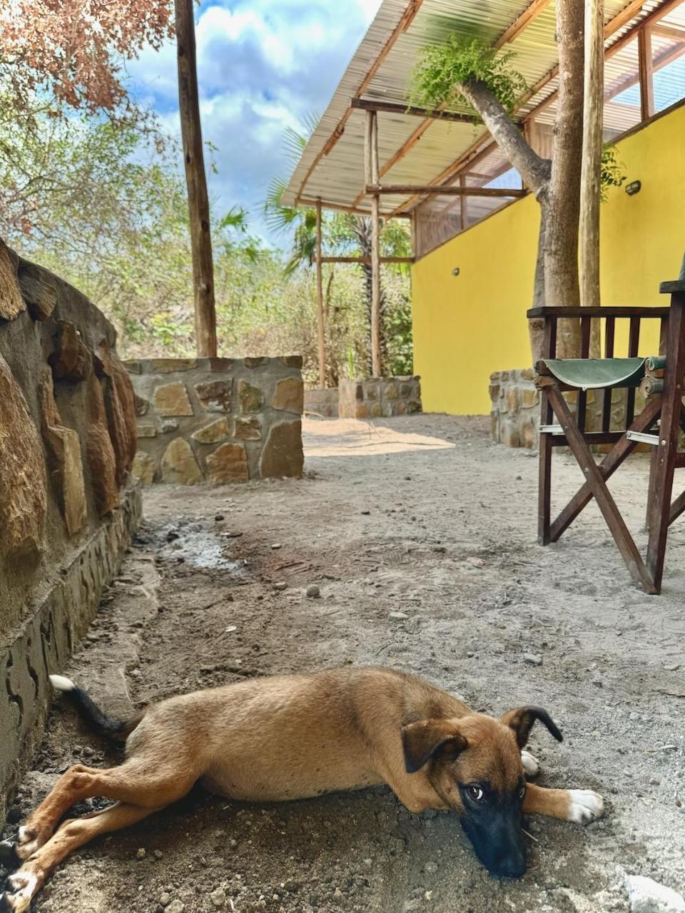 Baker Safari Company Villa Kwangwazi Екстериор снимка