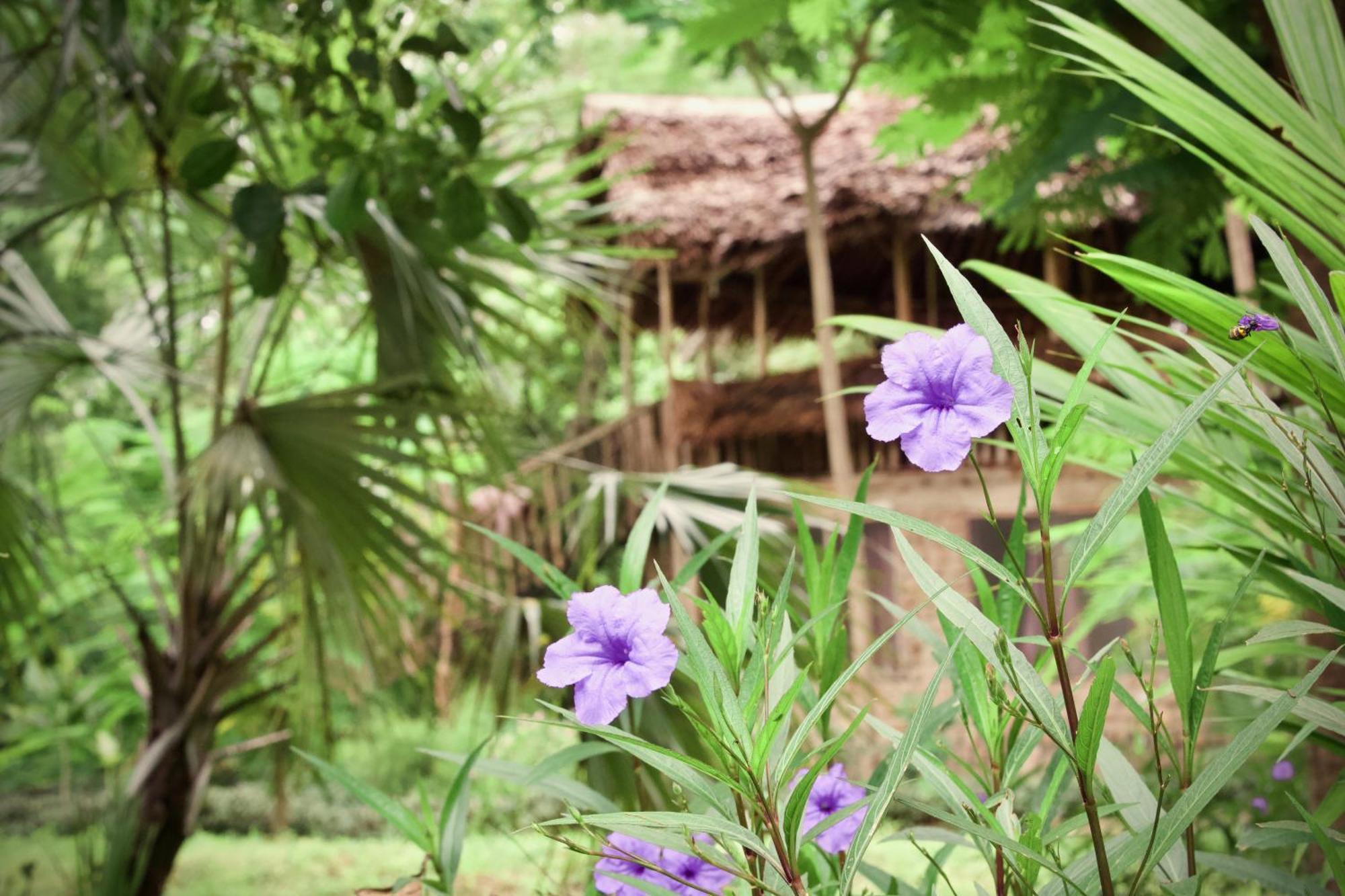 Baker Safari Company Villa Kwangwazi Екстериор снимка